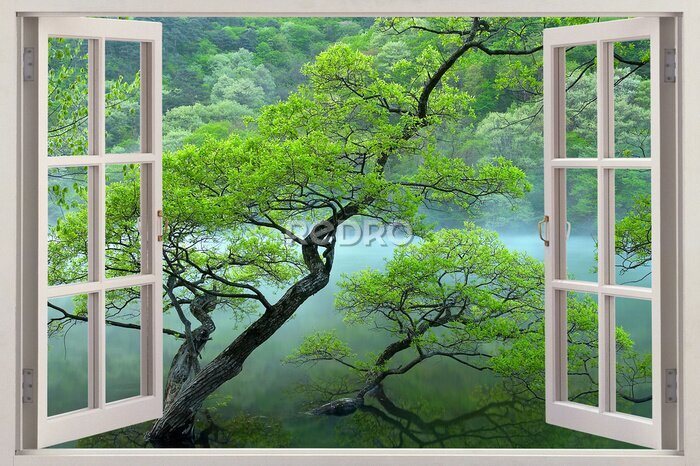 Bild 3d wallpaper lake and sea or waterfall 