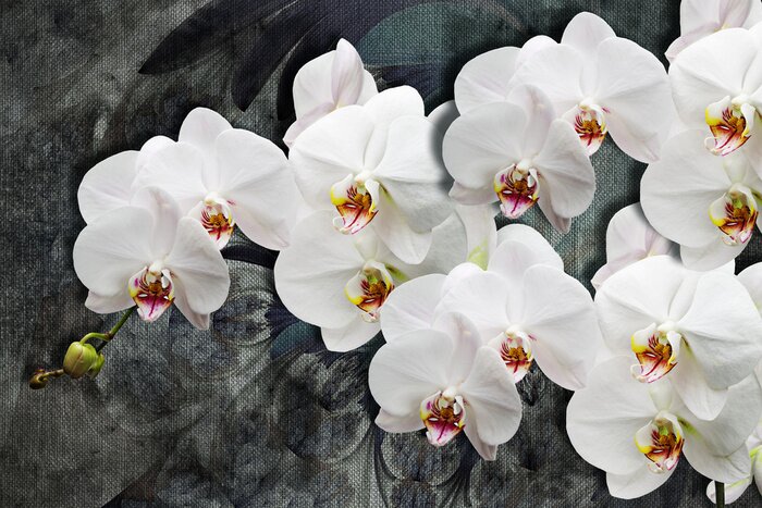 Bild 3D weiße Orchideenblüten auf dunklem Hintergrund