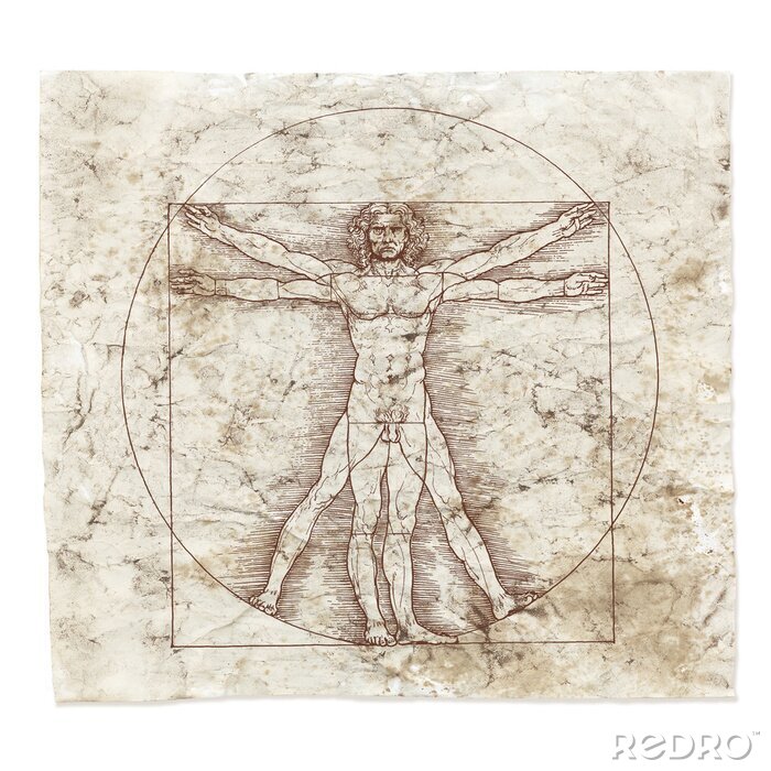 Bild Abbildung von Leondardo da Vinci