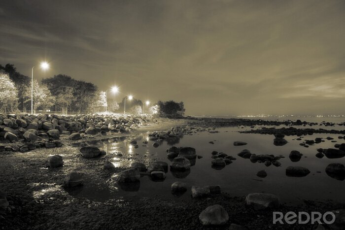 Bild Abendliche Landschaft mit Küste