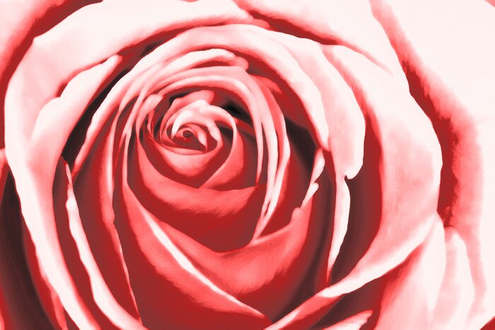 Bild Abstract pink rose watercolour painting