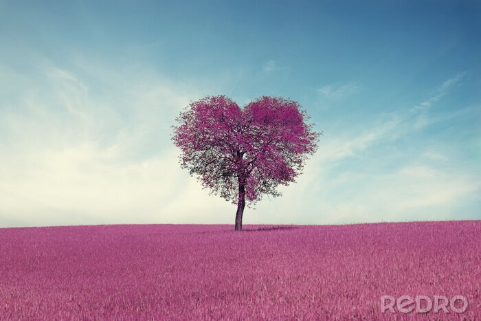 Bild Abstraktes Feld mit Herzformbaum unter blauem Himmel. Schönheit der Natur. Valentinstag Konzept Hintergrund