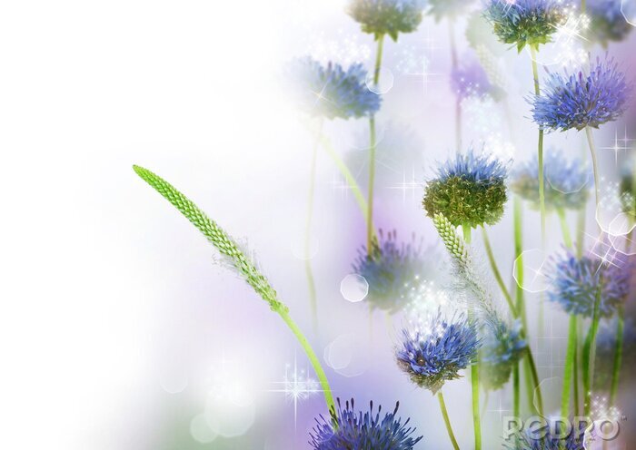 Bild Abstraktes Muster mit Blumen