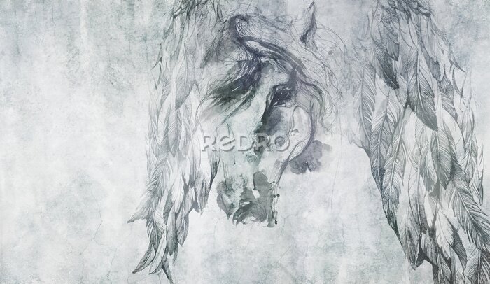 Bild Abstraktes Porträt eines Pferdes auf einer Betonwand