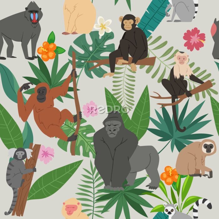 Bild Affen inmitten tropischer Blätter