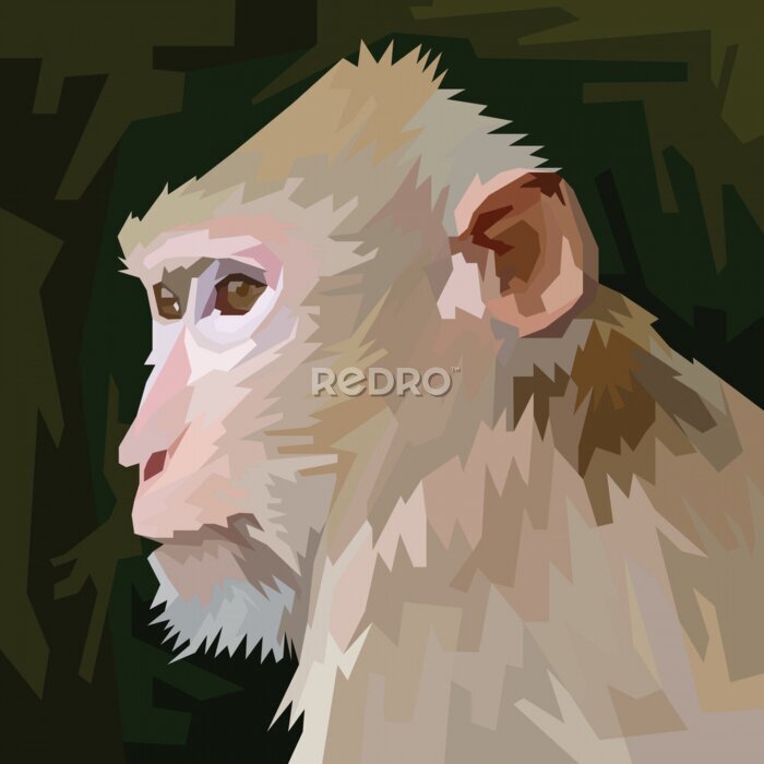 Bild Affenporträt im Pop-Art-Stil