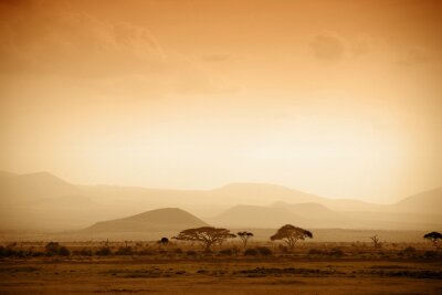Afrika Savanne und Sonnenaufgang