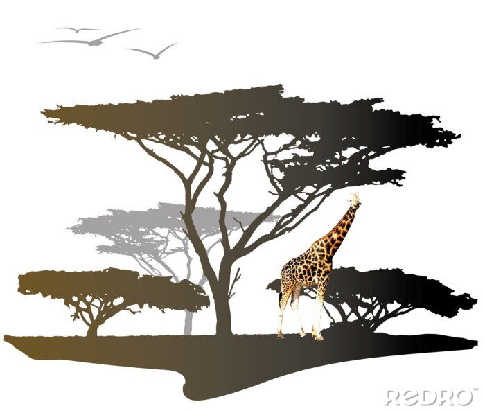 Bild Afrikanische Komposition mit Giraffe