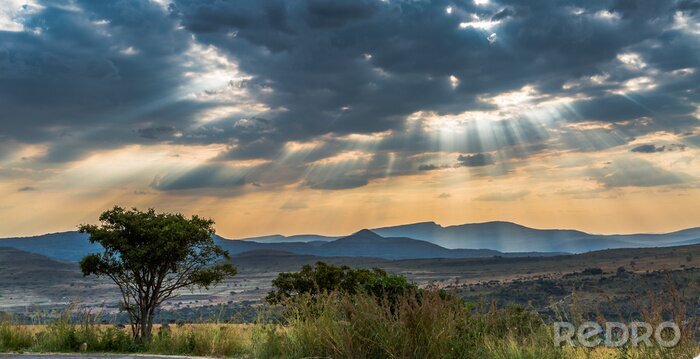 Bild Afrikanische Landschaft mit Sonnenschein