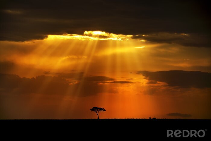 Bild Afrikanischen Savanne Sonnenstrahlen