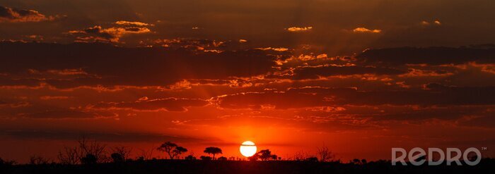 Bild Afrikanischer Sonnenuntergang