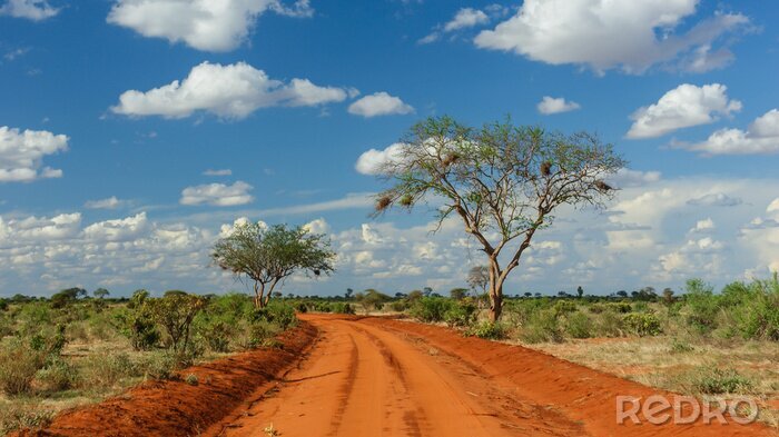 Bild Afrikanischer Weg in Kenia