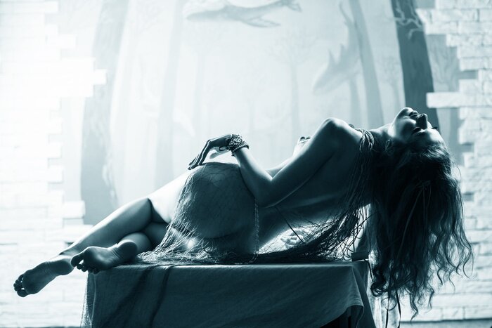 Bild Akt einer mit einem Netz bekleideten Frau