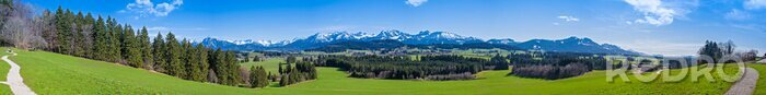 Bild Alpen im Frühling Panorama