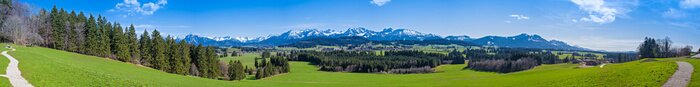 Bild Alpen im Frühling Panorama