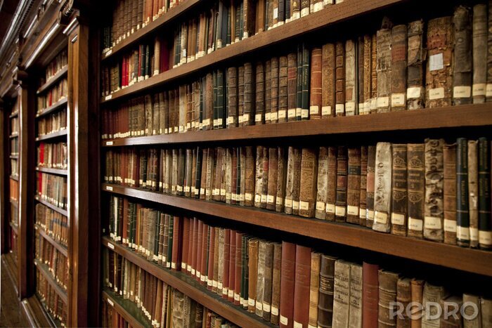 Bild Alte Büchersammlung in der Bibliothek