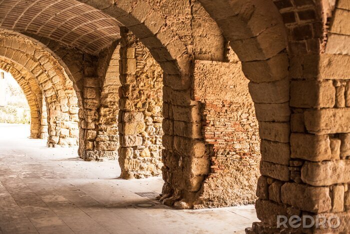 Bild Alte Säulen aus braunem Stein