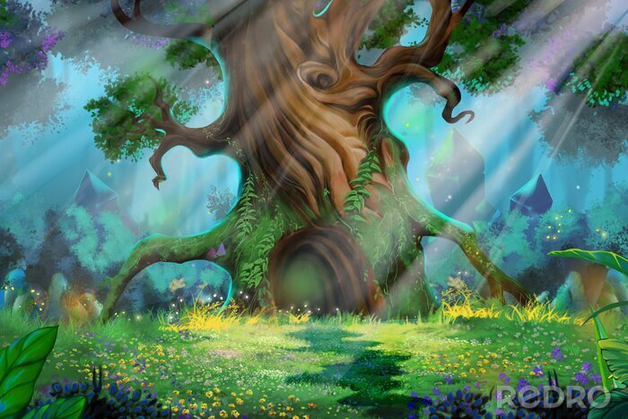 Bild Alter Baum im Zauberwald