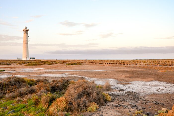 Bild Alter Leuchtturm am Meer