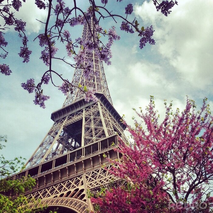 Bild Am Fuße des Eiffelturms in Paris
