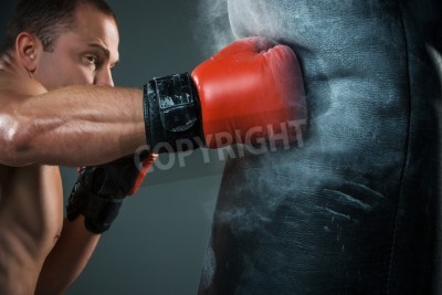 Bild Am Sandsack trainierender Boxer