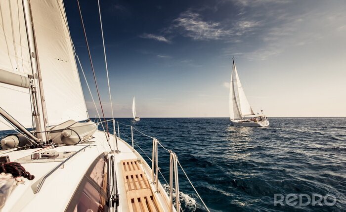 Bild Am See fahrende Segelboote