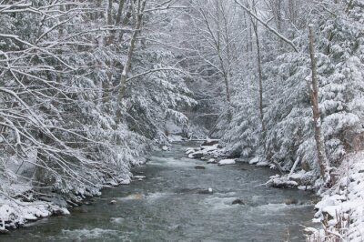 Amerikas Fluss fließt zwischen schneebedeckten Bäumen