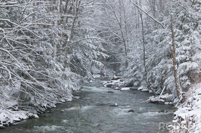 Bild Amerikas Fluss fließt zwischen schneebedeckten Bäumen