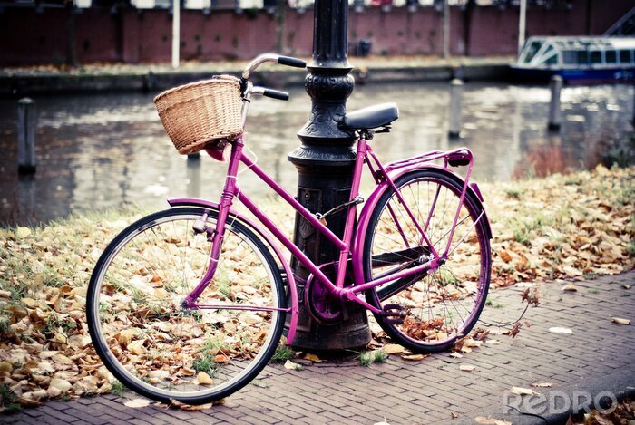 Bild Amsterdam rosa Fahrrad