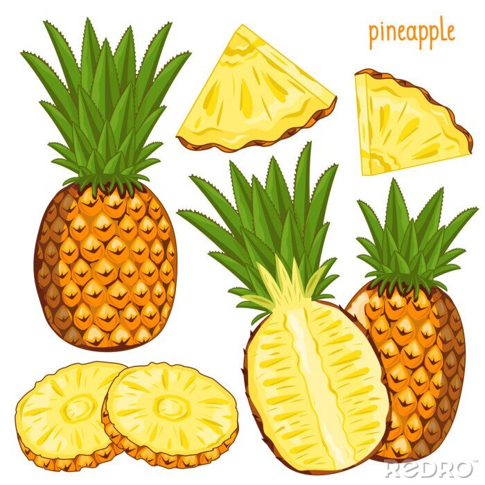 Bild Ananas Illustrationen Früchte in verschiedenen Formen