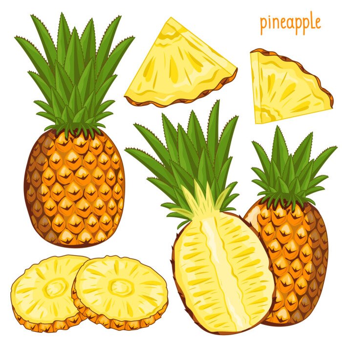 Bild Ananas Illustrationen Früchte in verschiedenen Formen
