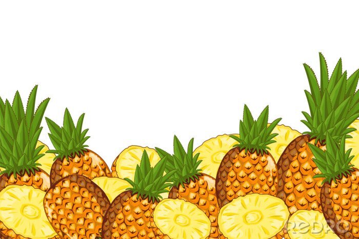 Bild Ananas Illustrationen ganze Früchte und Scheiben