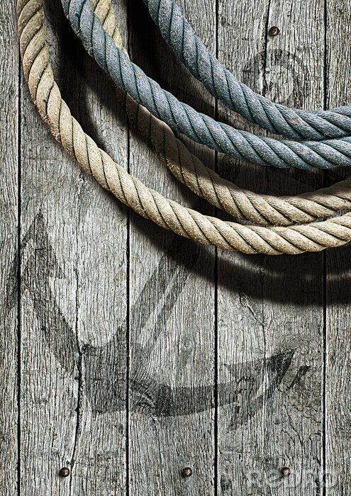 Bild Anker und Seile