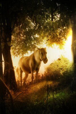 Bild Ansicht Fantasy mit Pferd