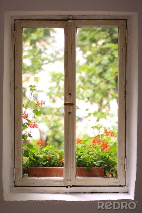 Bild Antikes Fenster
