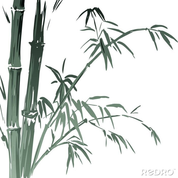 Bild Aquarell Bambus 