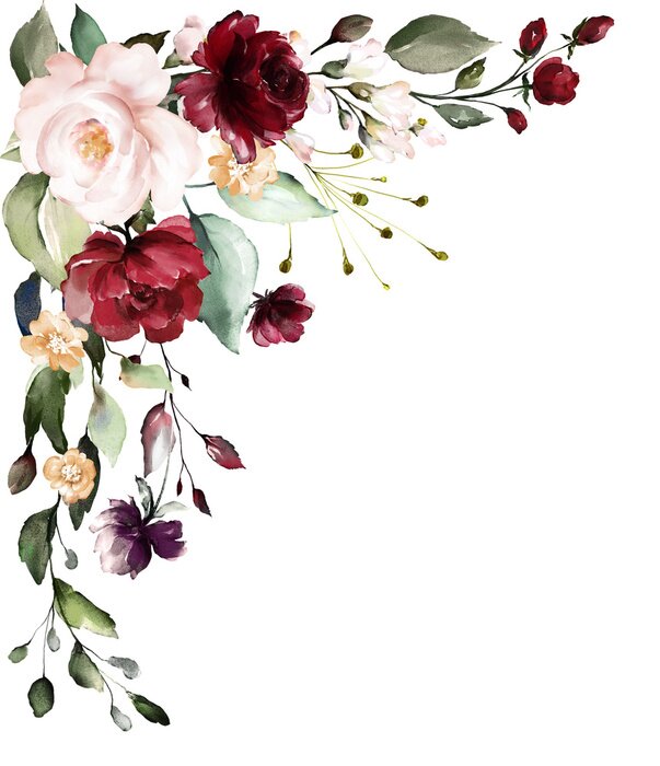 Bild Aquarell-Blumen auf weißem Hintergrund