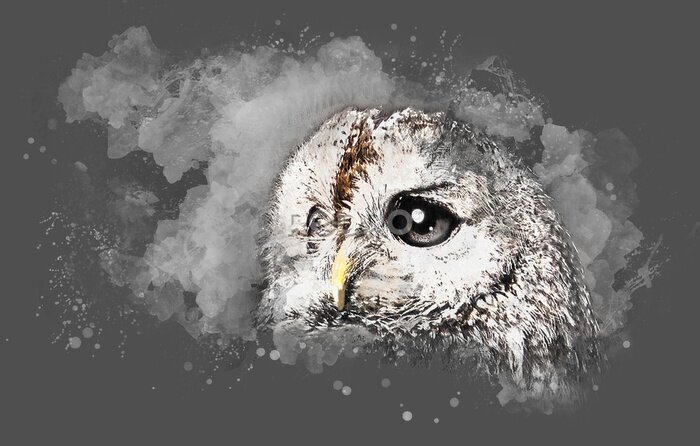 Bild Aquarell-Eule mit großen Augen auf grauem Hintergrund