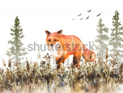 Bild Aquarell-Fuchs im Wald