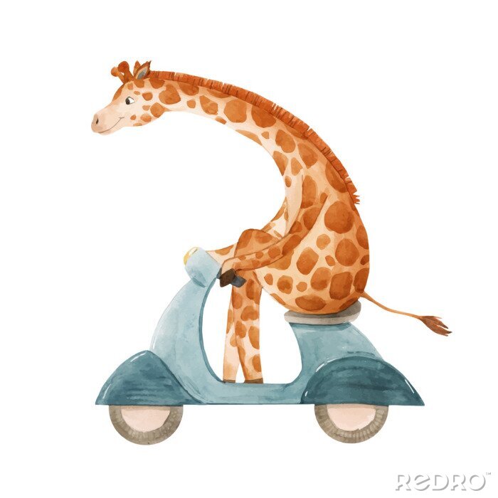 Bild Aquarell-Giraffe auf dem Roller