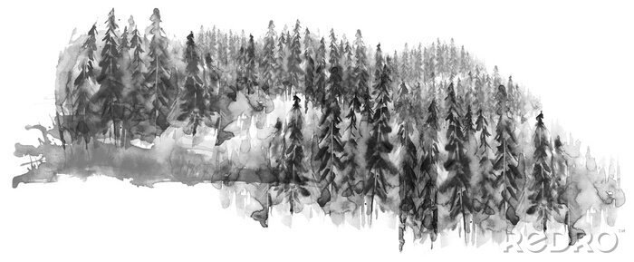 Bild Aquarell Gruppe von Bäumen - Tanne, Kiefer, Zeder, Tanne. Schwarz-Weiß-Wald, Landschaft Landschaft. Zeichnung auf weißem hintergrund isoliert.