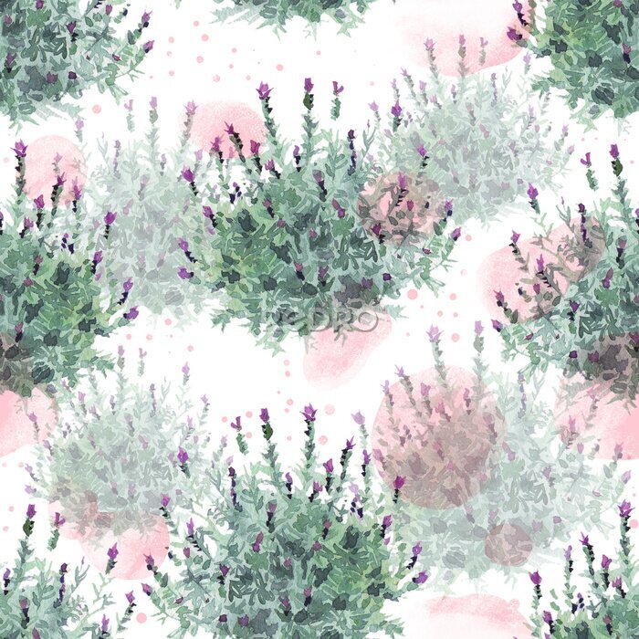 Bild Aquarell-Lavendelbüsche