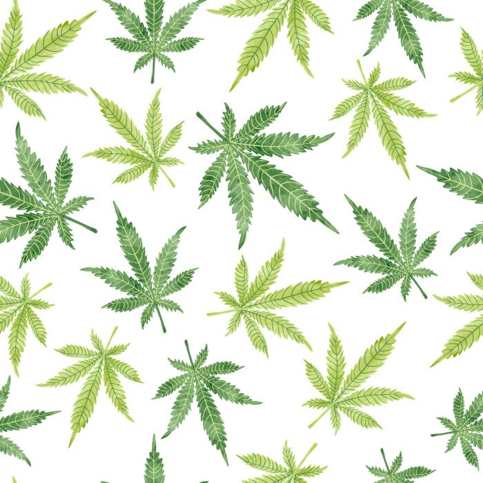 Bild Aquarell Marihuana Blätter nahtlose Muster. Vector Cannabis Hintergrund.