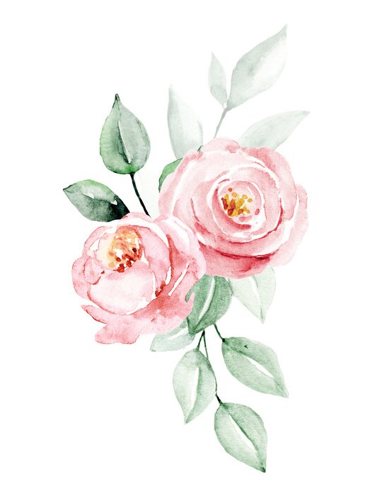 Bild Aquarell Rosen auf einem Hintergrund von unscharfen Blättern