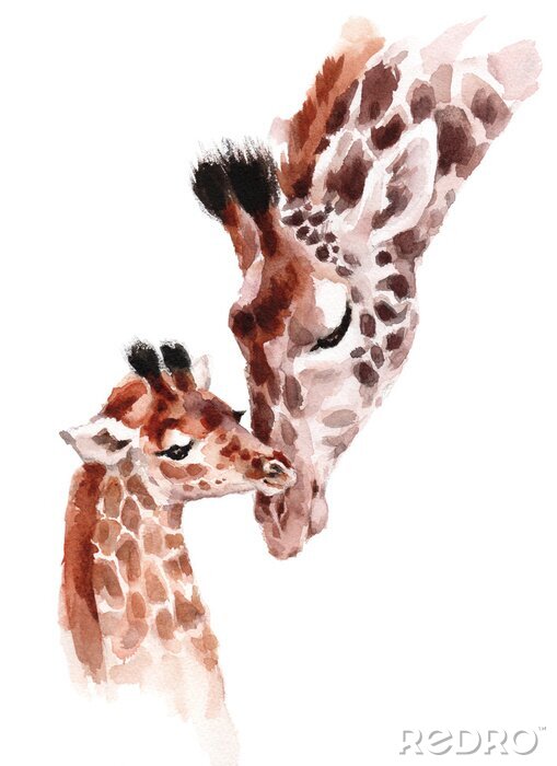 Bild Aquarellgemälde eines Giraffenbabys und seiner Mutter