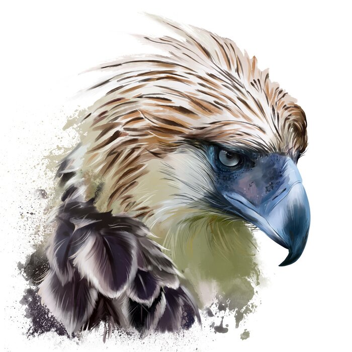 Bild Aquarellgemalter Adler
