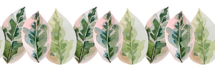 Bild Aquarellierte Ficusblätter auf weißem Hintergrund