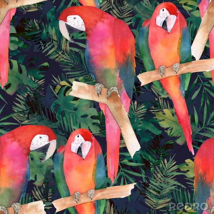Bild Aquarellmuster mit exotischen Papageienvögeln