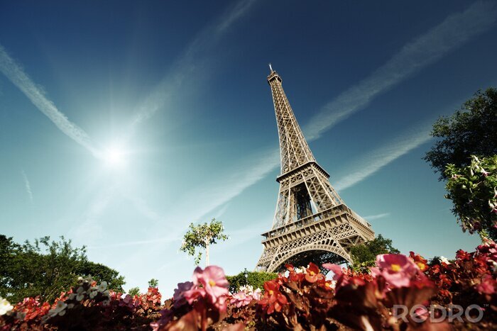 Bild Architektur aus Froschperspektive