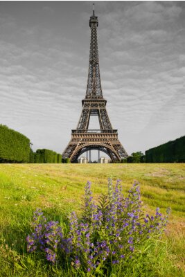 Bild Architektur des Eiffelturms